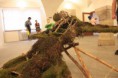 /album/fotogalerie/pomaly-posun-014-jpg/
